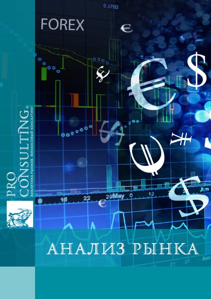 Паспорт рынка FOREX Украины. 2007 год